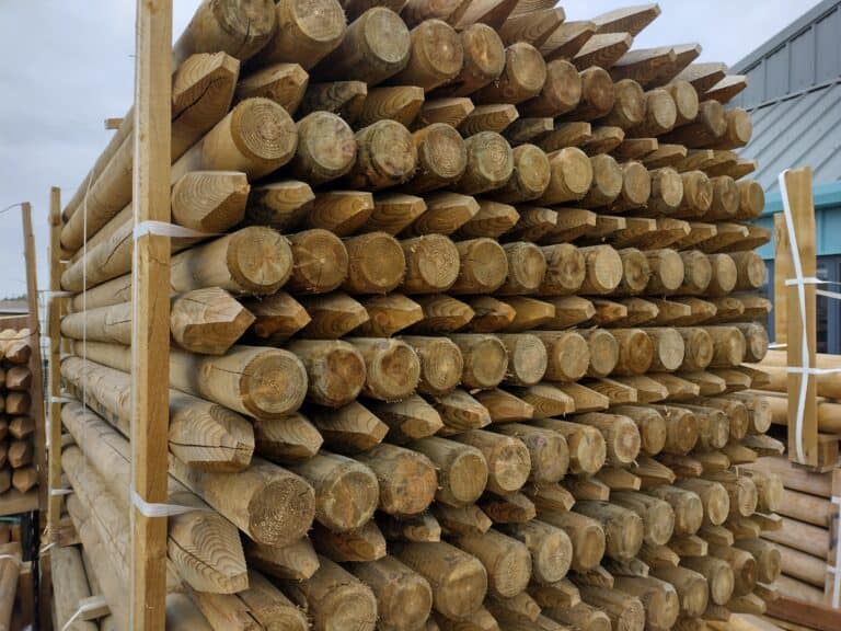 Stacked timber logs at lumberyard.