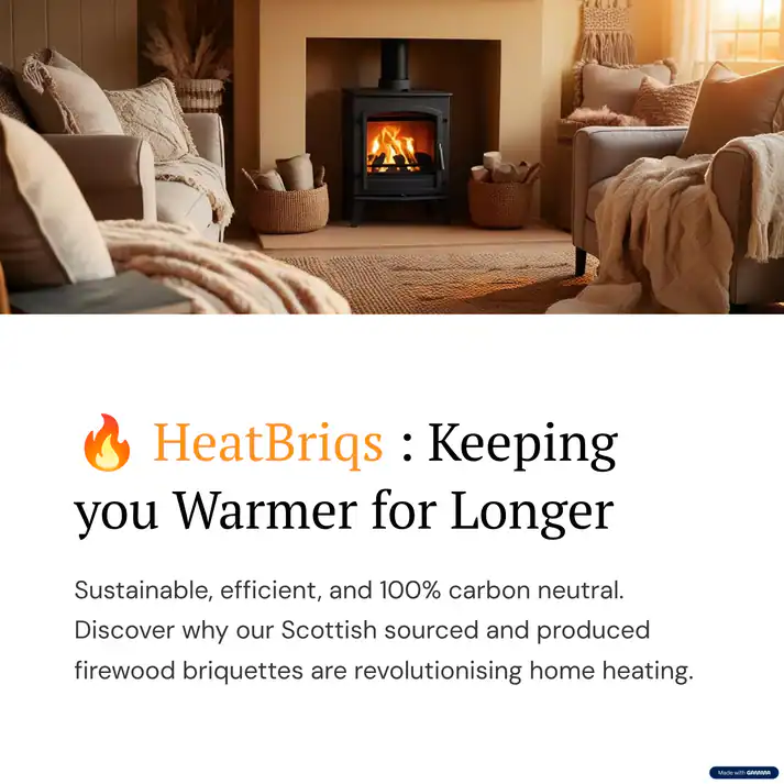 HeatBriqs pack of 12 - Image 4