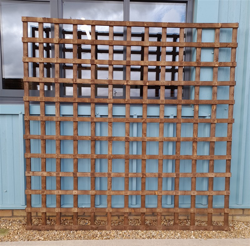 Large wooden trellis against pale blue garden shed